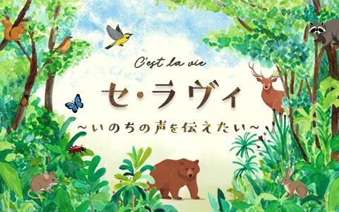 セ・ラヴィ～いのちの声を伝えたい～