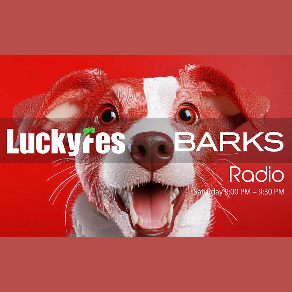 LuckyFes×BARKS Radioを聴く | radiko(ラジコ) | ラジオや