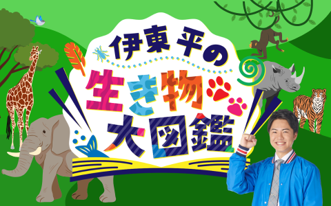 番組画像